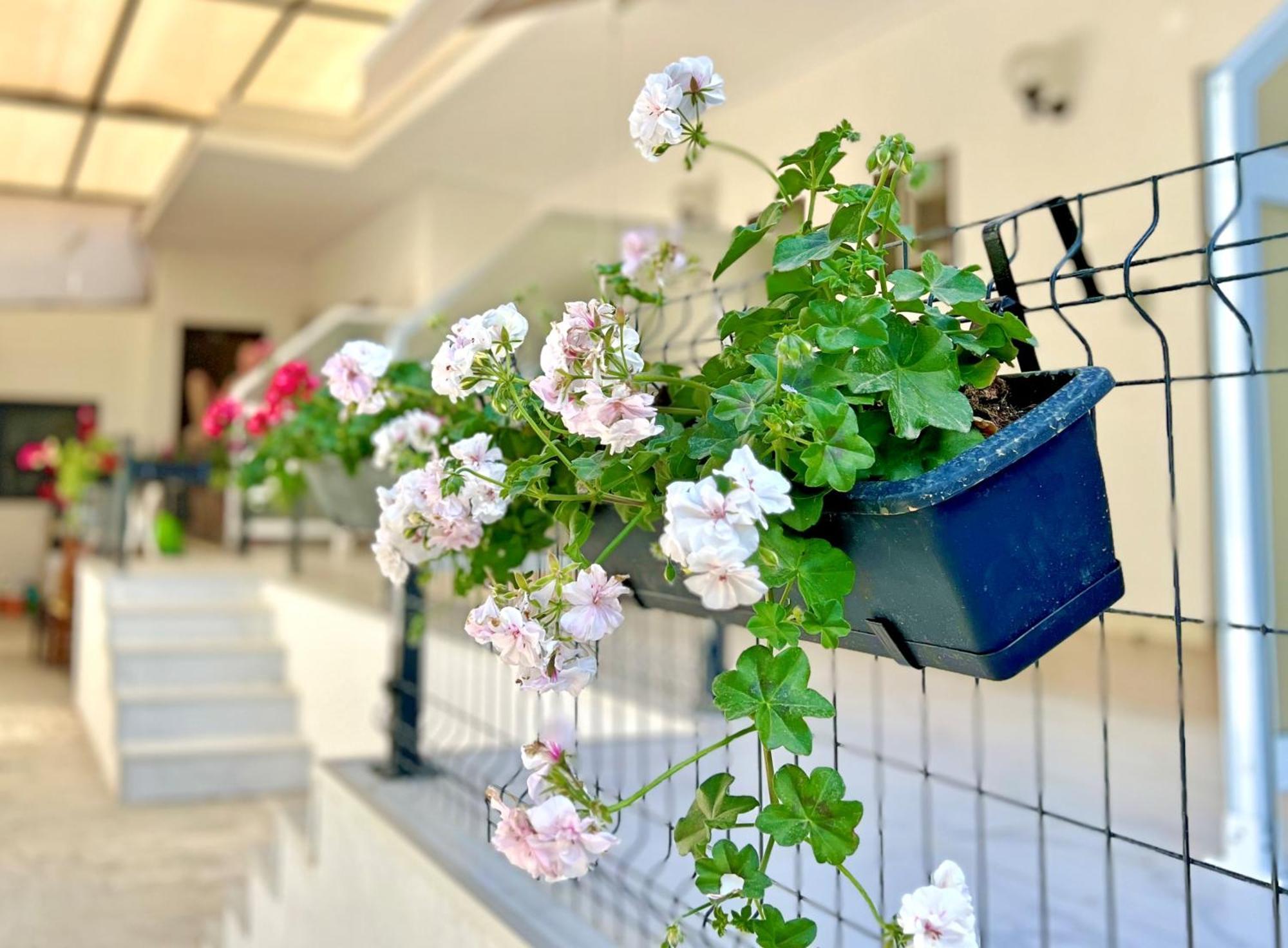 Guest House Julia Stavros  Esterno foto